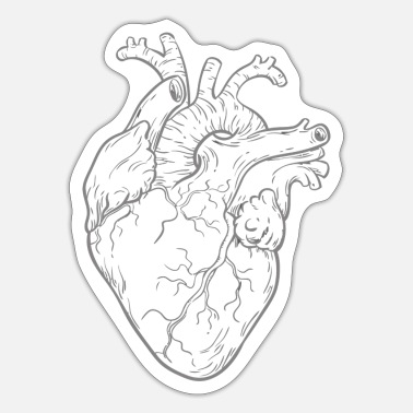 Anatomical Heart, Detailed Structure, Artistic Representation, Human Anatomy, Realistic Design Drawing