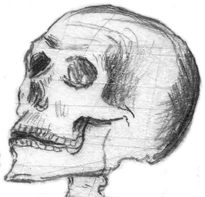 Anatomy Face, Expression Mapping, Facial Structure, Proportional Study, Features Analysis Drawing