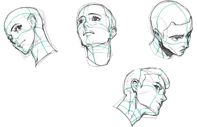 Face Anatomy, Bone Composition, Muscle Groups, Facial Structure, Skin Layers Drawing