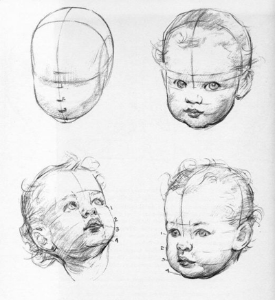 Face Anatomy, Features, Structure, Proportions, Function Drawing