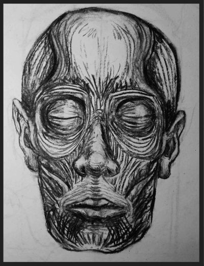 Face Anatomy Structure, Regions, Features, Proportions, Functions Drawing