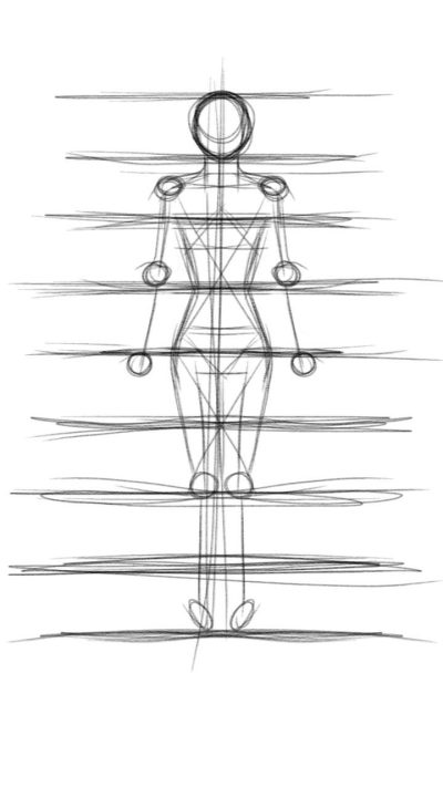 Anatomy, Systems, Organization, Function, Structure Drawing