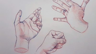 Anatomy Hand, Hand Functionality, Musculoskeletal Structure, Finger Anatomy, Anatomical Regions Drawing