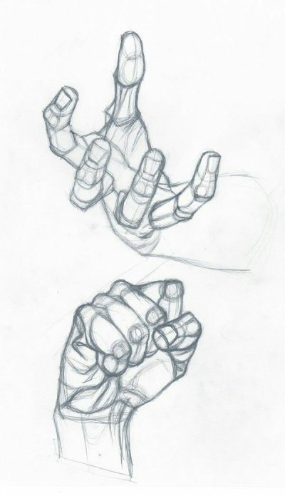 Anatomy Hand, Muscle Composition, Skeletal Structure, Human Anatomy, Functional Mobility Drawing