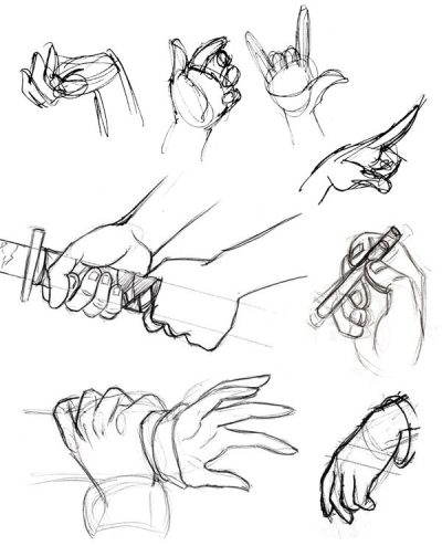 Anatomy Hand, Nerve Pathways, Joint Function, Muscle Composition, Bone Structure Drawing