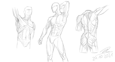 Anatomy Practice, Body Systems, Human Anatomy, Anatomical Structures, Medical Study Drawing