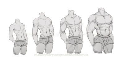 Anatomy Practice, Body Systems, Muscle Identification, Skeletal Structures, Organ Functions Drawing