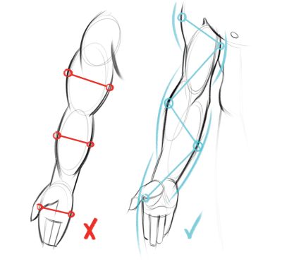 Anatomy, Function, Physiology, Composition, Structure Drawing