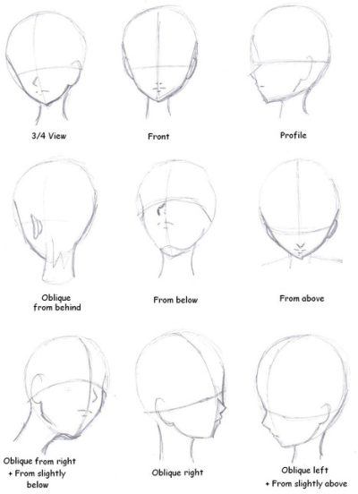 Anatomy Reference, Human Structure, Physiological Details, Biological Systems, Medical Illustrations Drawing