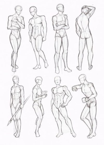 Anatomy Reference, Body Structures, Anatomical Terminology, Human Systems, Physiological Functions Drawing