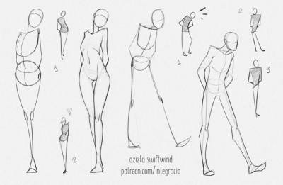 Anatomy Reference, Medical Illustration, Body Structure, Anatomical Terminology, Physiological Functions Drawing