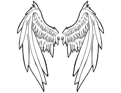 Angel Wings, Divine Grace, Heavenly Embrace, Ethereal Beauty, Celestial Feathers Drawing