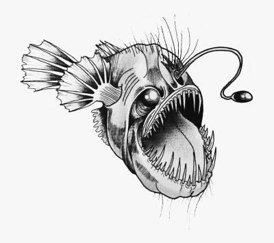 Angler Fish, Bioluminescence, Predatory, Deep Sea, Unique Adaptations Drawing