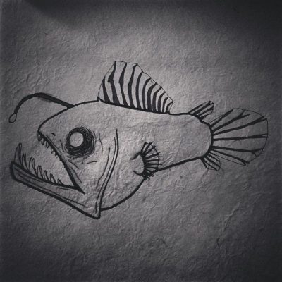 Angler Fish, Bioluminescence, Predatory, Deep Sea, Unique Adaptations Drawing