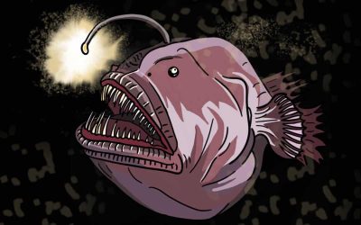 Angler Fish, Unique Adaptation, Bioluminescence, Deep Sea, Predator Drawing