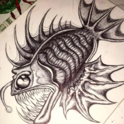 Angler Fish Drawing