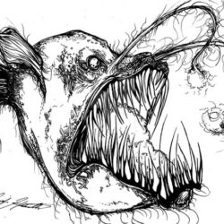 Angler Fish Drawing Art