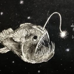 Angler Fish Drawing Creative Style