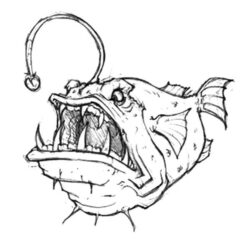 Angler Fish Drawing Image