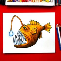 Angler Fish Drawing Modern Sketch