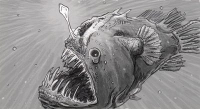 Angler Fish, Unique Adaptation, Bioluminescence, Deep Sea, Predator Drawing