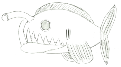 Angler Fish, Bioluminescence, Predatory, Deep Sea, Unique Adaptations Drawing