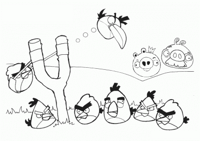 Angry Bird, Colorful Avian, Pig-Popping Adventure, Flinging Fury, Slingshot Mayhem Drawing