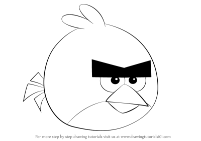 Angry Bird, Furious Fowl, Rageful Flyer, Vengeful Avian, Irate Feathered Drawing