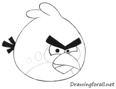 Angry Bird, Fuming Fowl, Furious Flyer, Irritated Avian, Enraged Creature Drawing