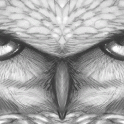 Animal Eye Drawing Artistic Sketching