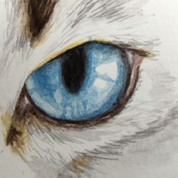 Animal Eye Drawing Creative Style