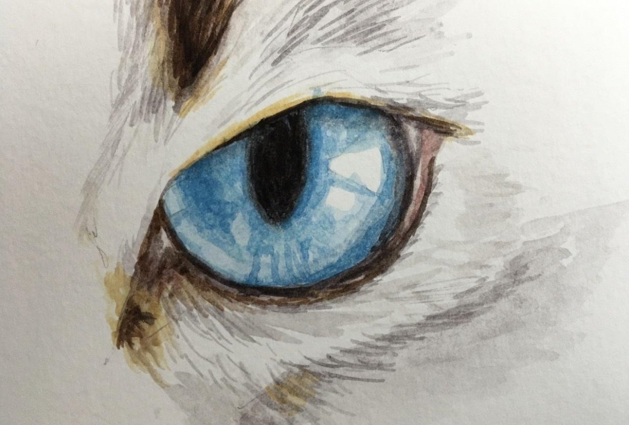 Animal Eye Drawing Creative Style