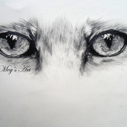 Animal Eye Drawing Hand drawn