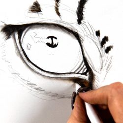 Animal Eye Drawing Intricate Artwork