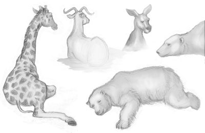 Animal Kingdom, Animal Habitat, Animal Welfare, Animal Behavior, Animal Adaptation Drawing