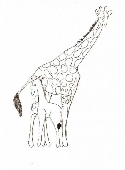 Animal Kingdom, Animal Welfare, Animal Habitat, Animal Communication, Animal Behavior Drawing