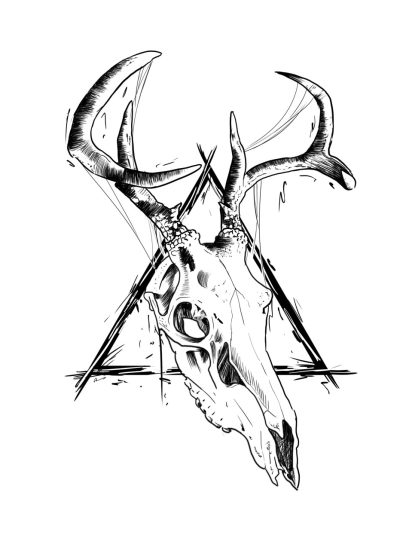 Animal Skull, Bone Structure, Natural History, Wildlife Remains, Osteological Study Drawing