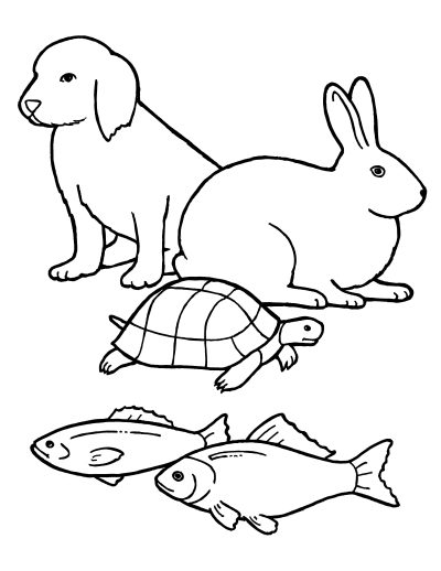 Animals Line, Wildlife Species, Nature Diversity, Ecosystem Balance, Animal Kingdom Drawing