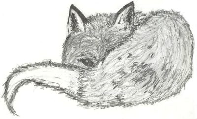 Anime Fox, Manga Canine, Cartoon Fox, Animated Vulpine, Fantasy Feline Drawing