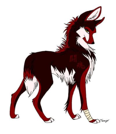 Anime Wolf, Wild Adventures, Mythical Creatures, Furry Fantasy, Japanese Aesthetics Drawing