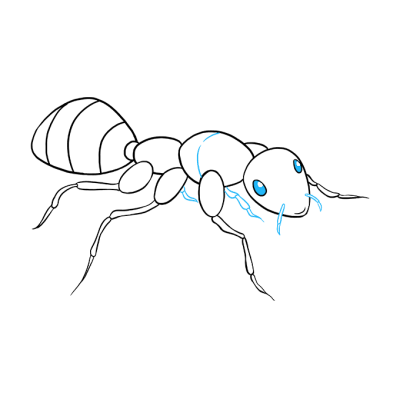 Ant Colony, Ant Behavior, Ant Communication, Ant Structure, Ant Habitat Drawing