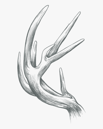 Antler, Design, Outdoors, Innovation, Nature Drawing