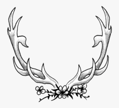 Antler, Design, Outdoors, Innovation, Nature Drawing