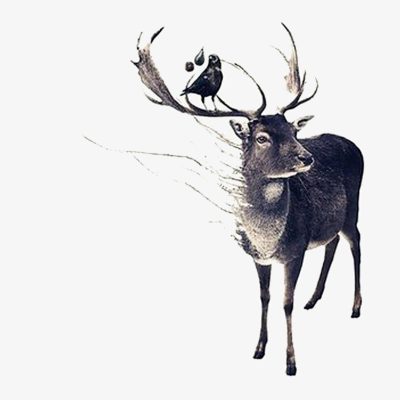 Antler, Adventure, Innovation, Growth, Nature Drawing