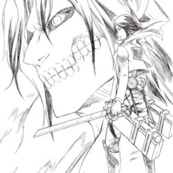 Aot Drawing Picture