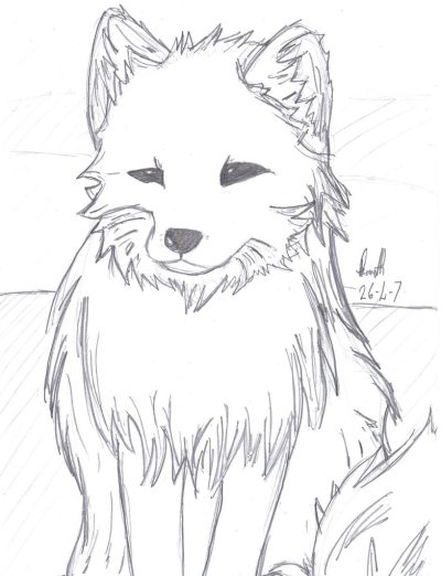 Arctic Fox, Snowy Habitat, Northern Regions, Adaptable Predator, Thick Fur Drawing