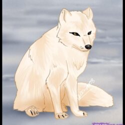 Arctic Fox Drawing Intricate Artwork