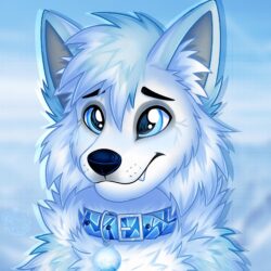 Arctic Fox Drawing Picture