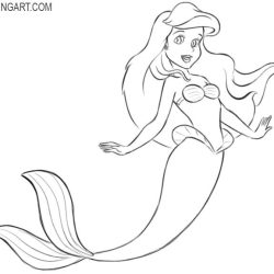 Ariel Drawing Intricate Artwork