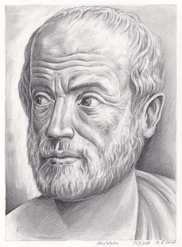 Aristotle Drawing Detailed Sketch